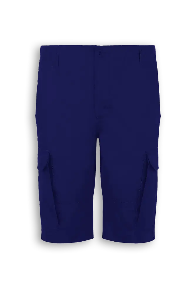HRX Cargo Shorts Pants