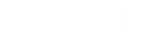 Logo Cool_Racing