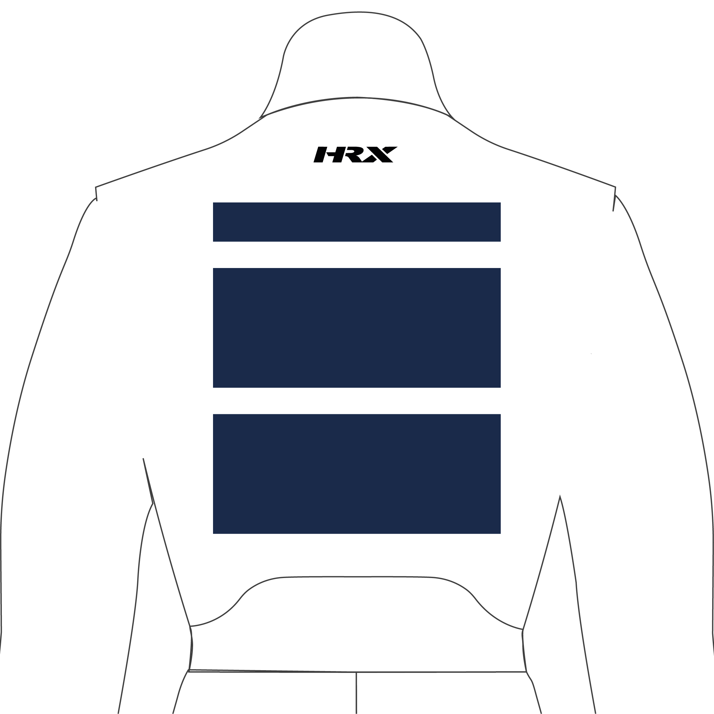 Top Zero Ics - Logo back large