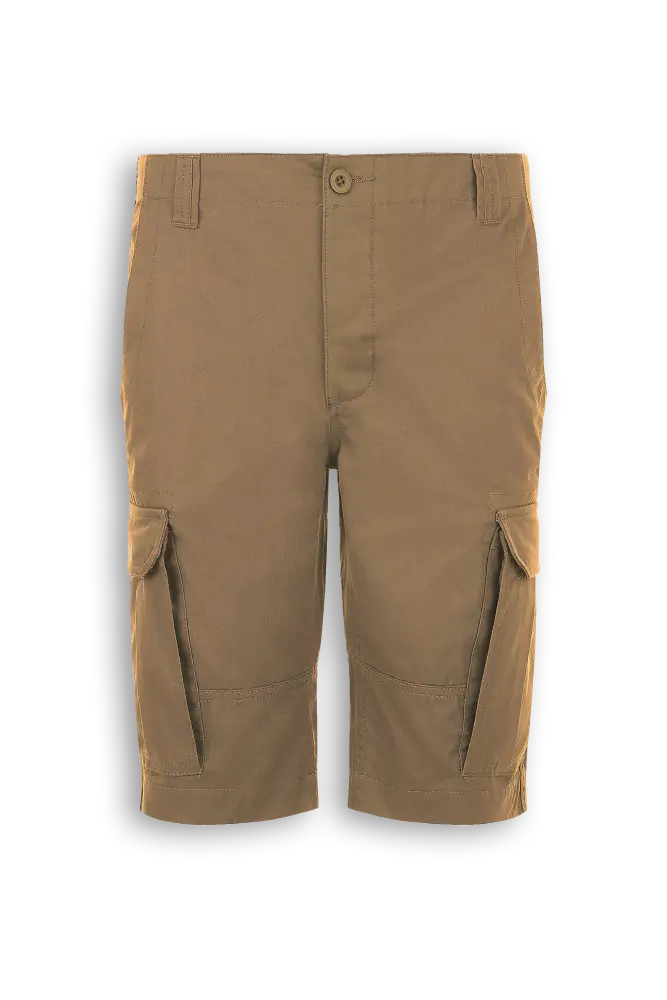 HRX Cargo Shorts Pants